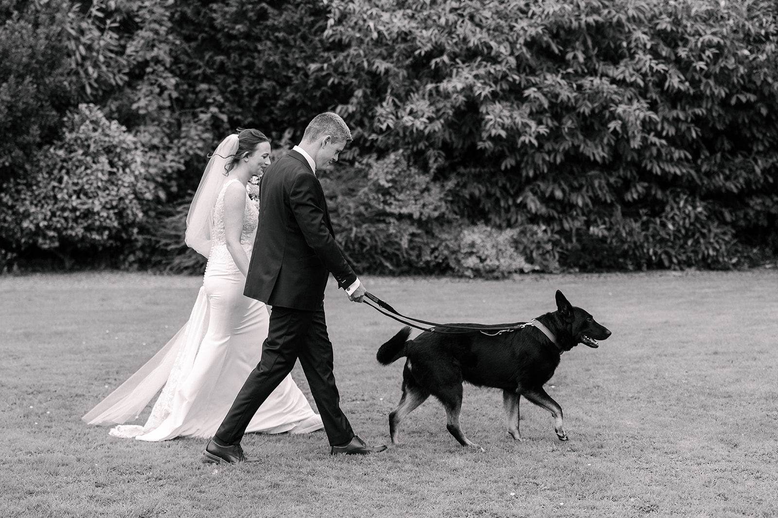Bride and groom walking their dog at wedding