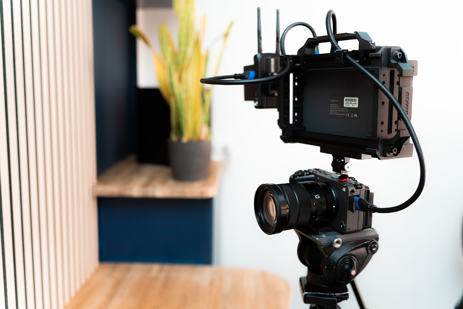 Video live stream professionals